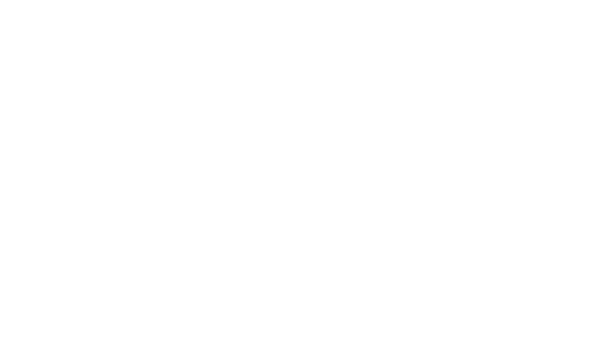 IBR logo